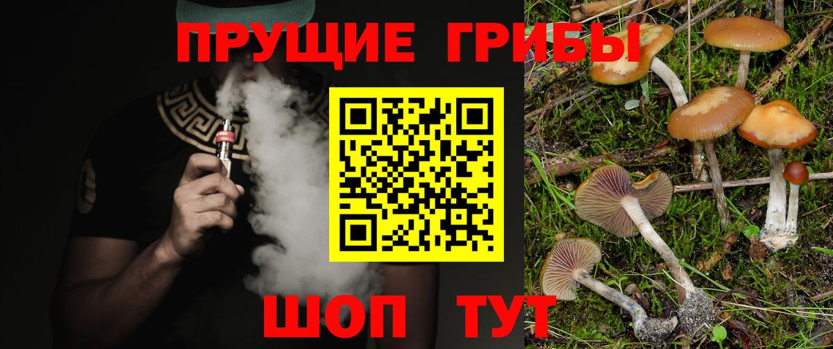 Псилоцибиновые грибы мицелий Новосибирск