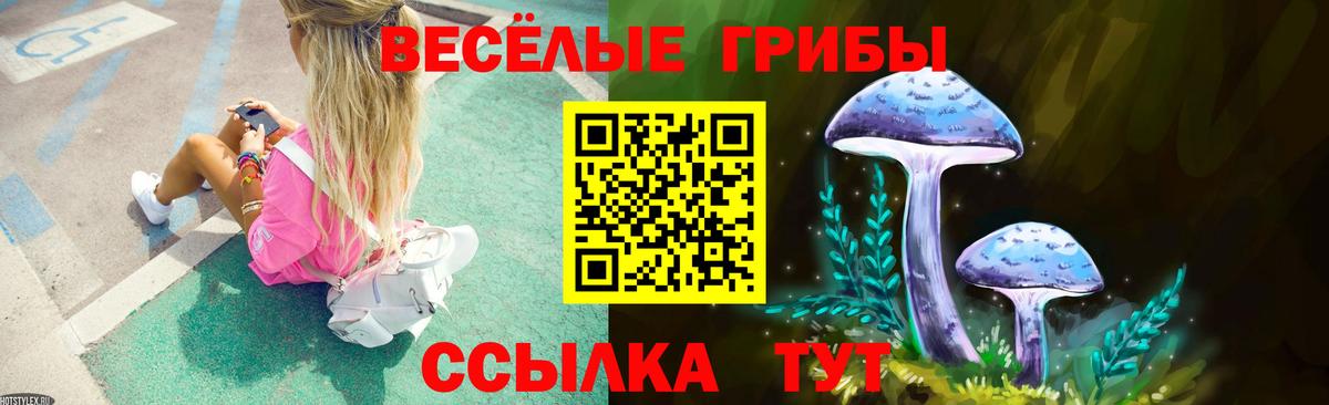 Новосибирск  Псилоцибиновые грибы Psilocybe  Вход с VPN  Псилоцибиновые грибы прущие грибы 