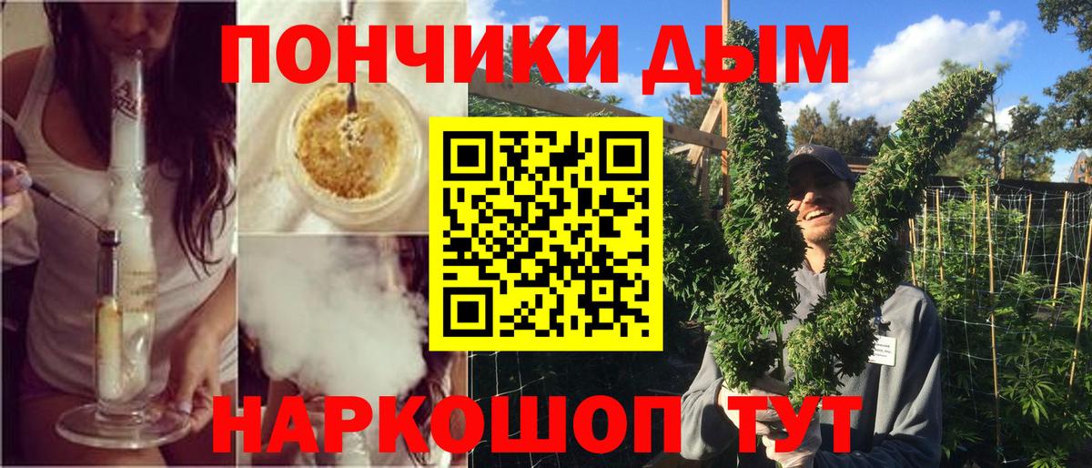 Конопля ГИДРОПОН  Каннабис семена  Канабис MAZAR  Марихуана семена  Новосибирск  Вход с VPN 